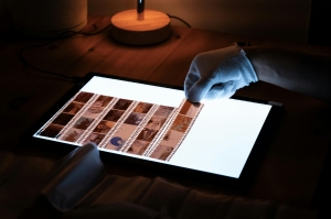 The Complete Guide to Professional Film Processing: Why Mail-In Services Are Revolutionizing Photography